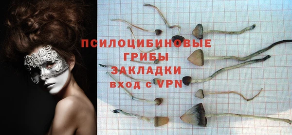 спиды Абинск