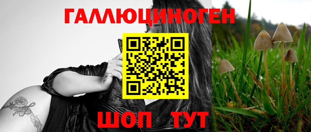 Псилоцибиновые грибы прущие грибы  Вход с VPN  Александров 