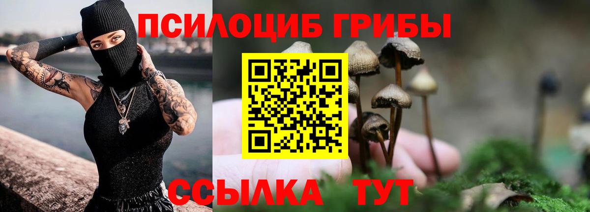Галлюциногенные грибы мухоморы Александров